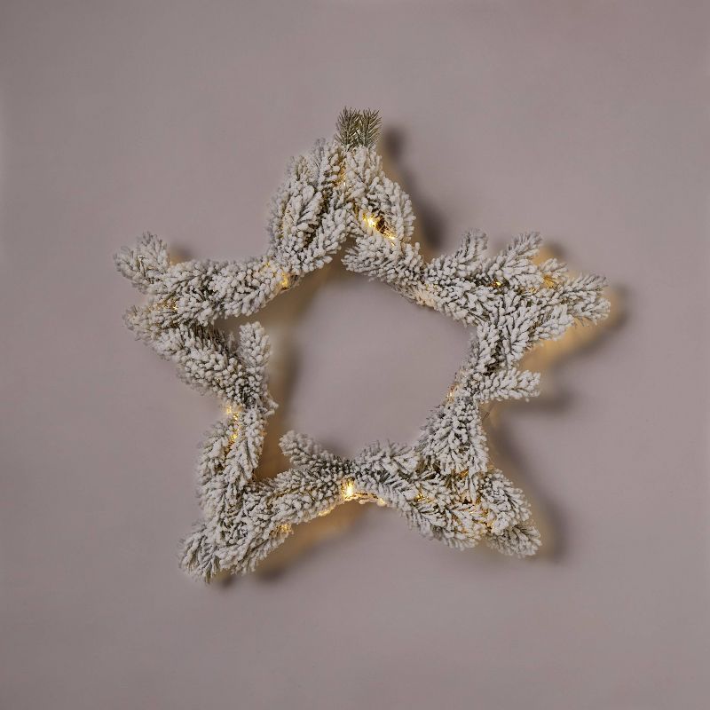 17" Pre-lit Flocked Star Decorative Wreath LED Dewdrop Warm White Lights - Wondershop™ | Target
