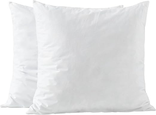 20x20 Pillow Inserts-Shredded Memory Foam Fill-High Density Throw Pillow Inserts with Long Suppor... | Amazon (US)