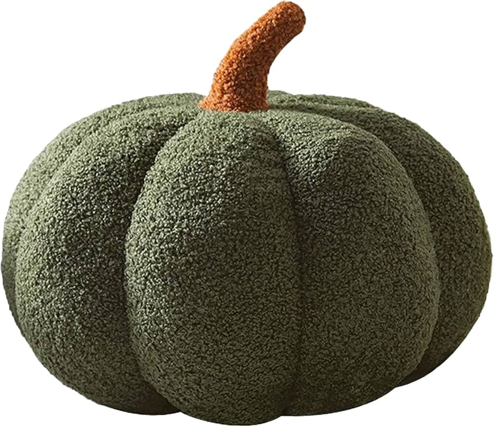 Pumpkin Pillow,3D Plush Halloween Pillows, Soft Fleece Sherpa Autumn Thanksgiving Decor for Couch... | Amazon (US)