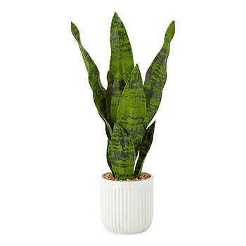 Linden Street 21" Snake Artificial Plant | JCPenney