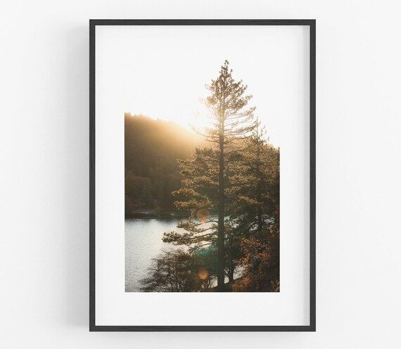 Lake Arrowhead Photography Print Lake Print Sunset Pine Tree | Etsy | Etsy (US)