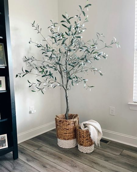 The BEST Olive Tree on the market. No assembly required and very easy to fluff and move around. Looks so realistic.


#LTKHome