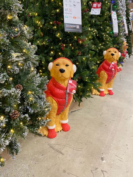 Cutest Christmas labs 🖤

#LTKHoliday #LTKfindsunder50 #LTKSeasonal