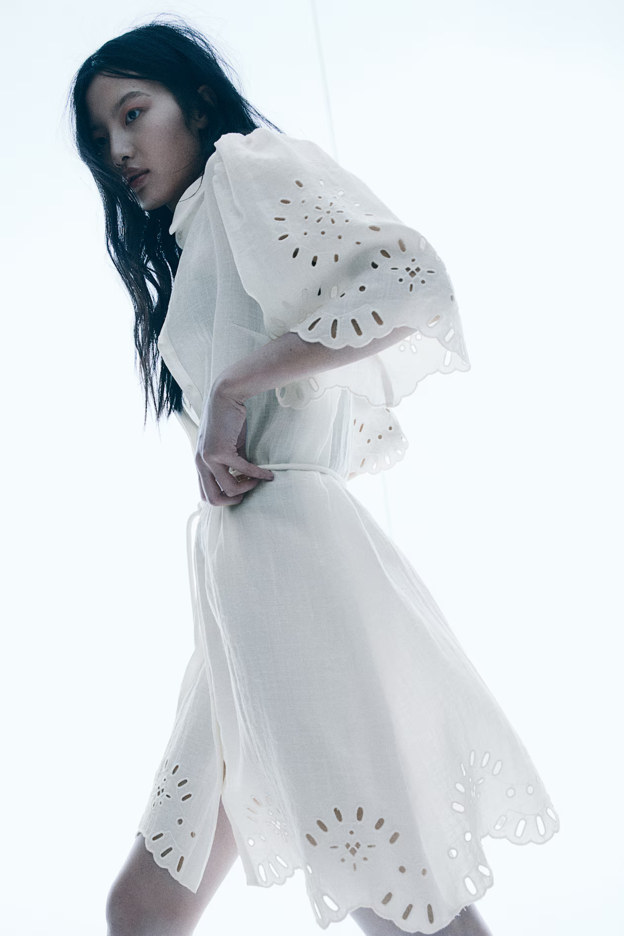 Eyelet Embroidered Dress | H&M (US + CA)
