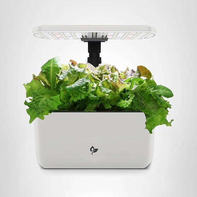 AeroGarden Harvest Lite in Cream, Soil-Free Indoor Hydroponic Garden with LED Grow Light for Year... | Amazon (US)