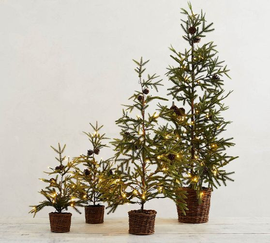Lit Faux Pine Trees in Basket | Pottery Barn CA