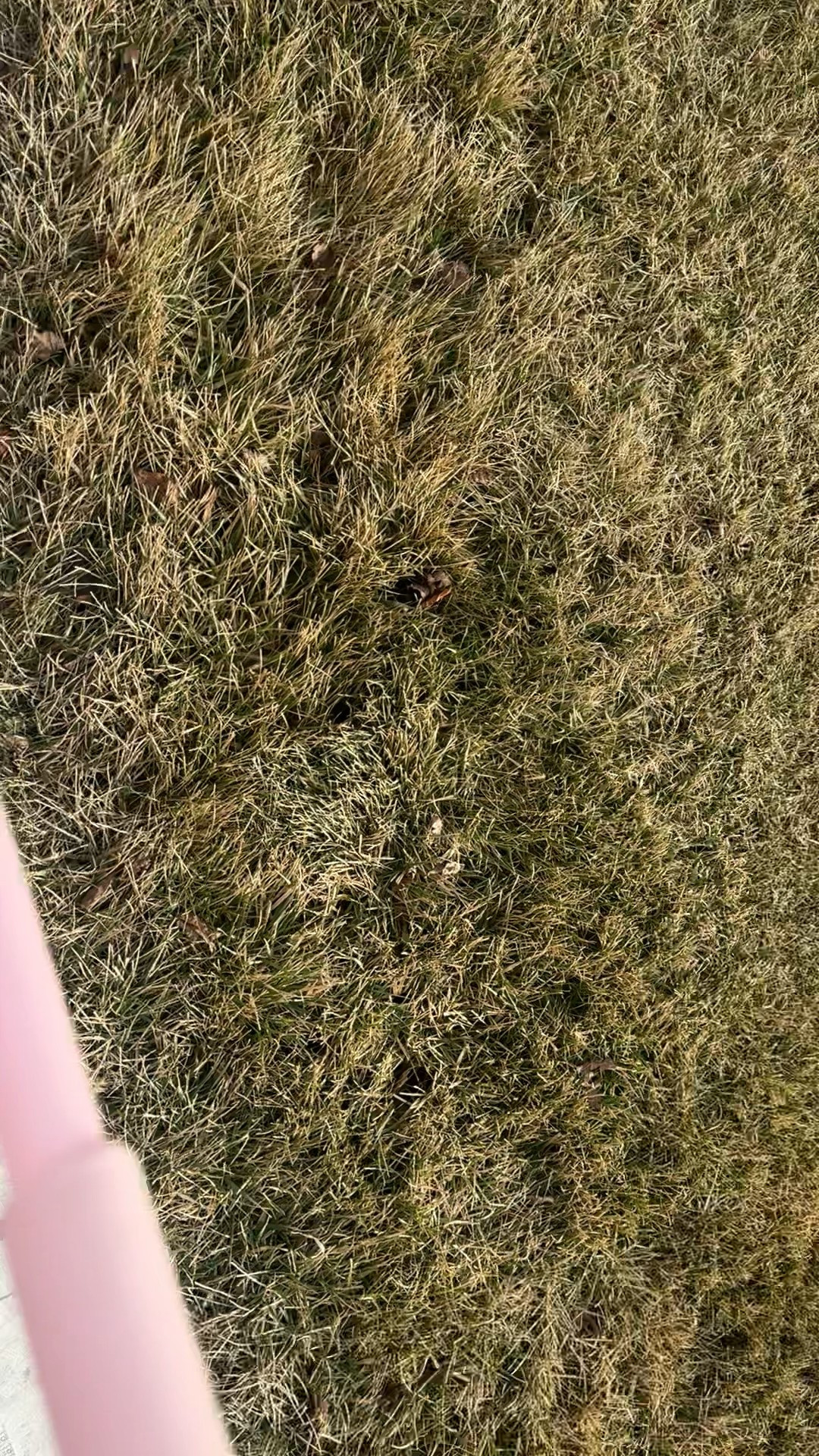 Comfy tennis shoes
Walking shoes
Best tennis shoes 
New balance 9060

#LTKmomlife #LTKdayinmylife #LTKmorningroutine