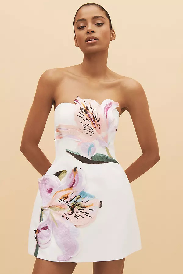Rosario Floral Appliqué Mini Dress | Anthropologie (US)