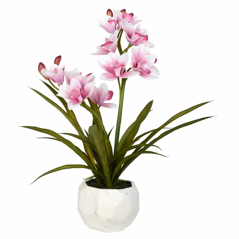 Artificial Phalaenopsis Floral Arrangement in Pot | Wayfair North America