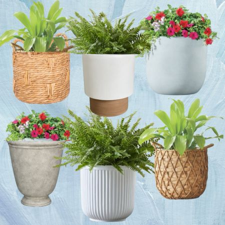 Is it too soon to be dreaming about spring… well, I’ve already started searching for planters. I’ve rounded up six from Walmart that I definitely plan to purchase!! The early bird gets the worm 🌷

⁣
.⁣
.⁣
.⁣
.⁣
.⁣
#springflowers #interiordesign #springdecor #springtime #spring #flowers #springblooms #beautiful #nature #springhascome 

#LTKhome