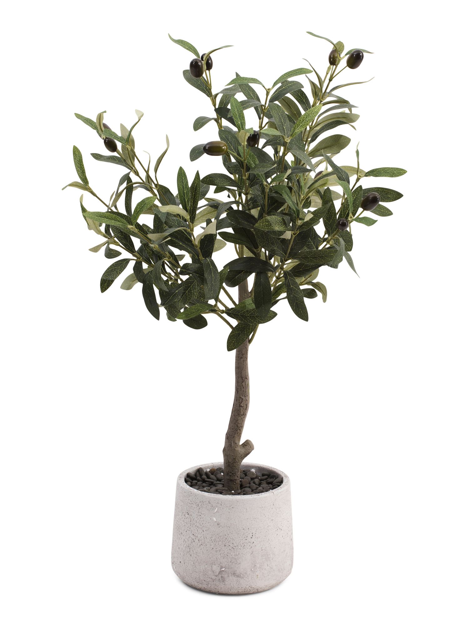 2ft Olive Tree In Stone Pot | Home Essentials | Marshalls | Marshalls