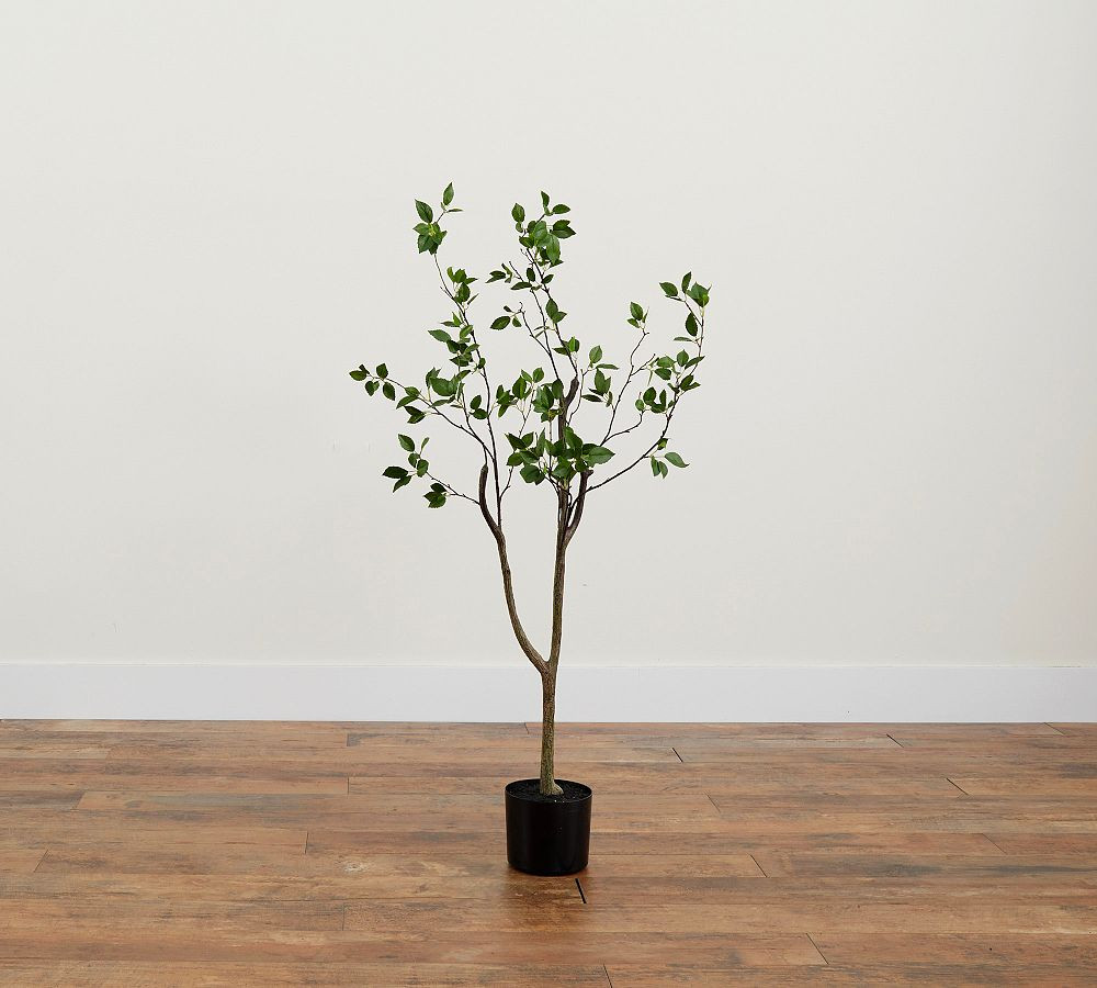 Faux Potted Citrus Tree | Pottery Barn (US)