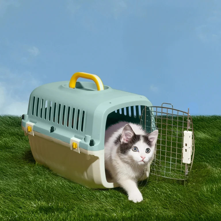 Oodles 20" Plastic Travel Pet Kennel with Clip On Bowl, Blue | Walmart (US)