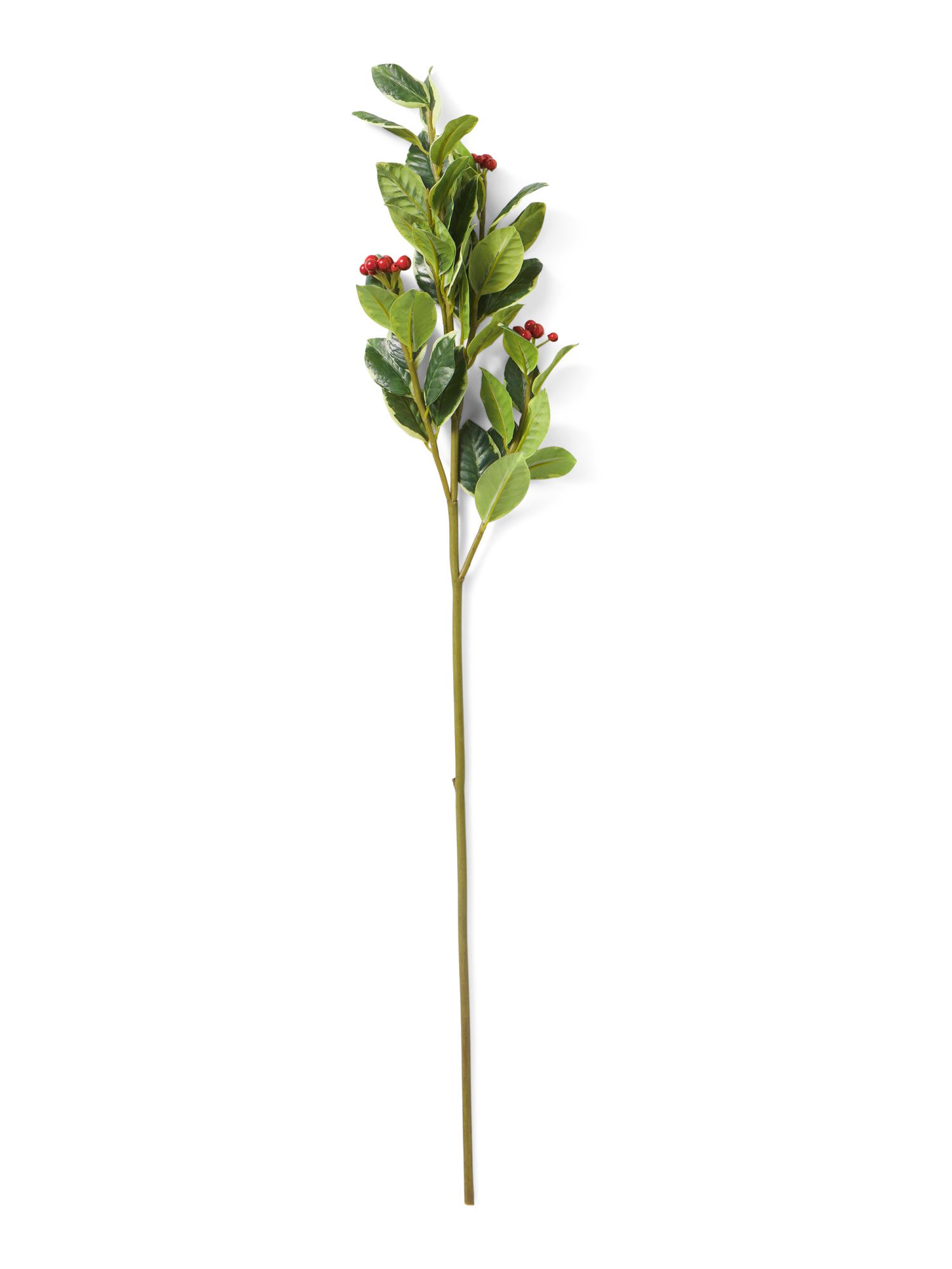Winter Holly And Berry Branch | TJ Maxx