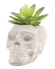 Faux Succulent In Cement Skull Pot | TJ Maxx