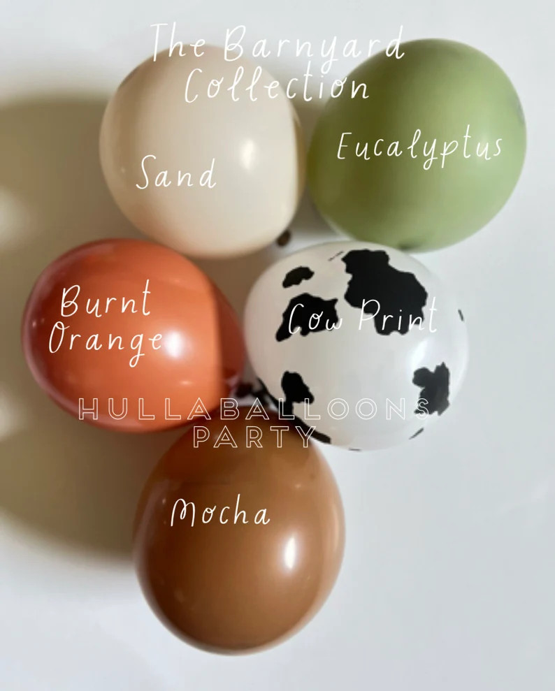 Barnyard Balloons Barnyard Birthday Farm Baby Shower Balloons for Baby Block Boxes First Rodeo Bi... | Etsy (US)