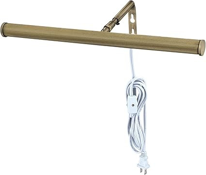 Westinghouse Lighting 7500600 14" LED Picture Light, AB 4 Watt | Amazon (US)