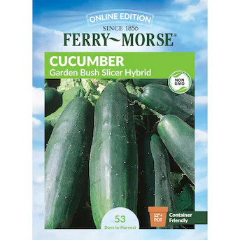 Ferry-Morse Cucumber Seeds 1.6 Gram(s) | Lowe's