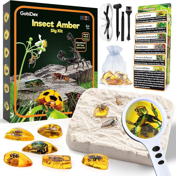 GobiDex Amber Dig Kit-Artificial Insect Resin, Excavate 6 Insects Specimens, STEM Geographic Educ... | Amazon (US)