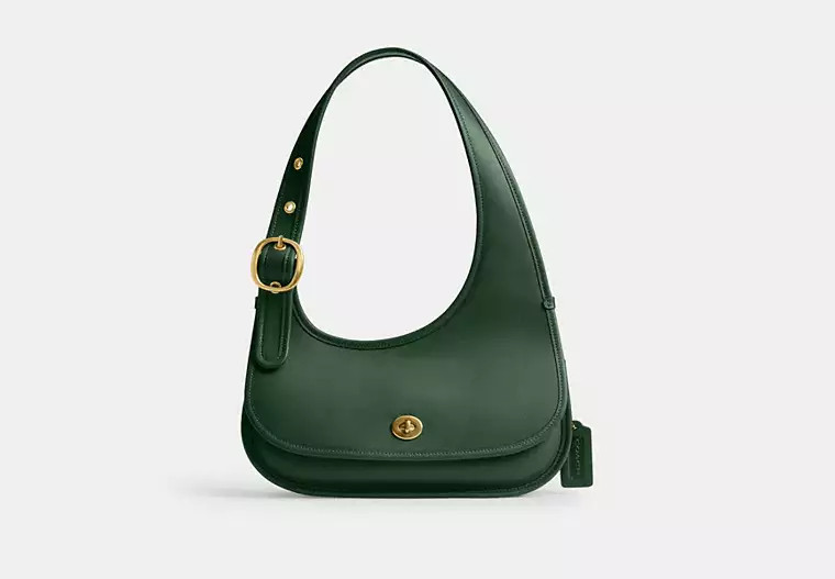 Cashin Carry Crescent Bag | Coach (US)