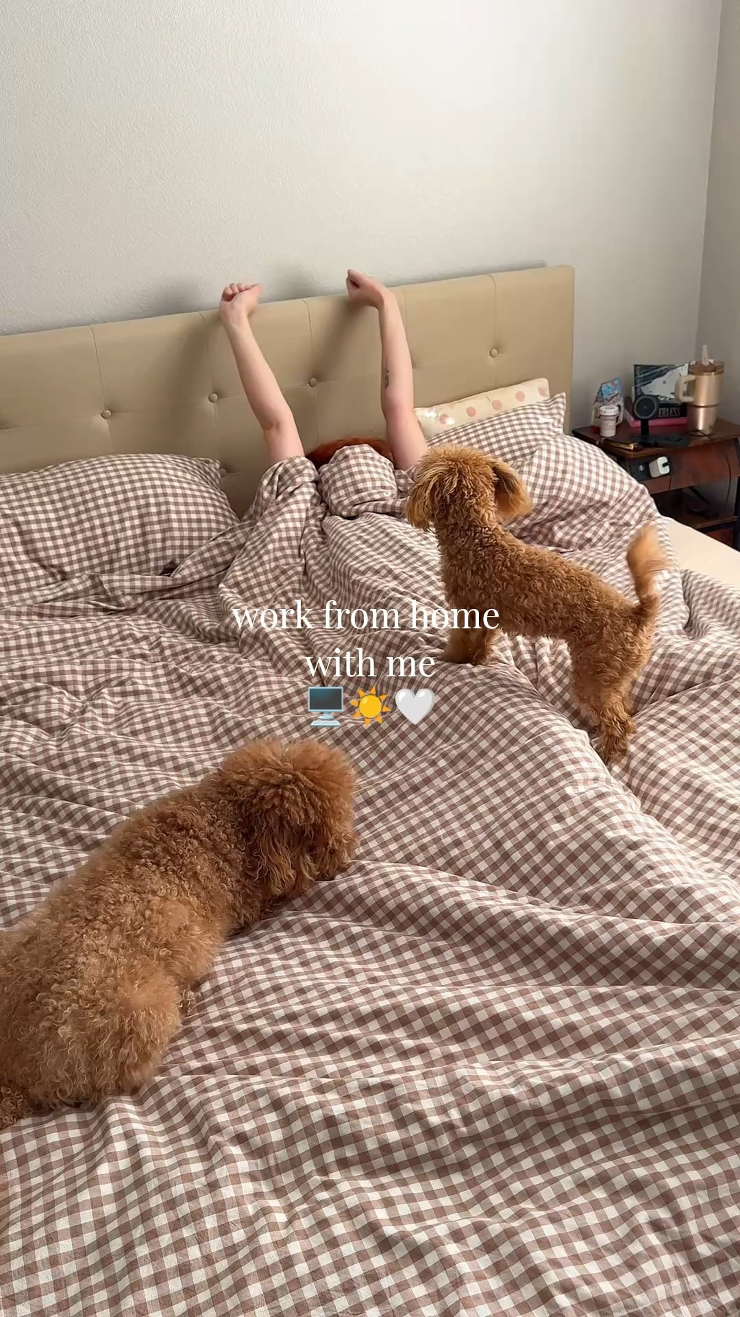 #LTKdayinmylife #LTKmorningroutine #LTKvlog