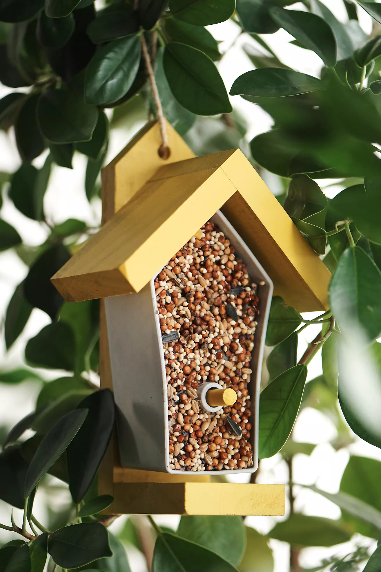 DIY Kid’s Bird Feeder Kit | Anthropologie (US)
