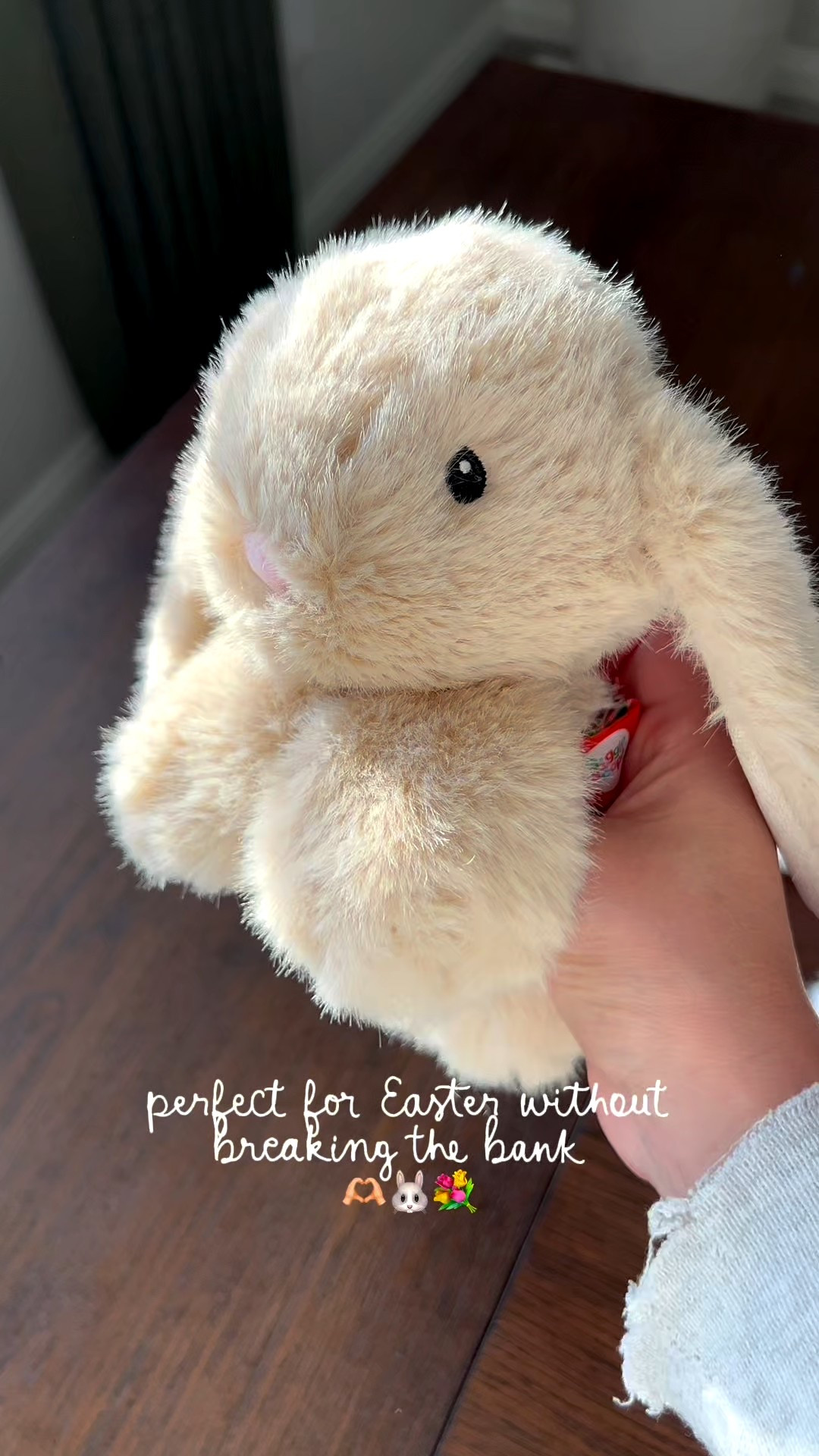 These cutie bunnies are at Target for $5! #easterbasket 

#LTKSeasonal #LTKKids #LTKmomlife