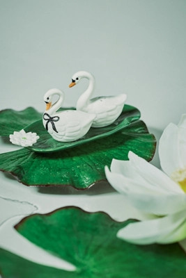 Swan Lake Salt & Pepper Shakers | Anthropologie (US)