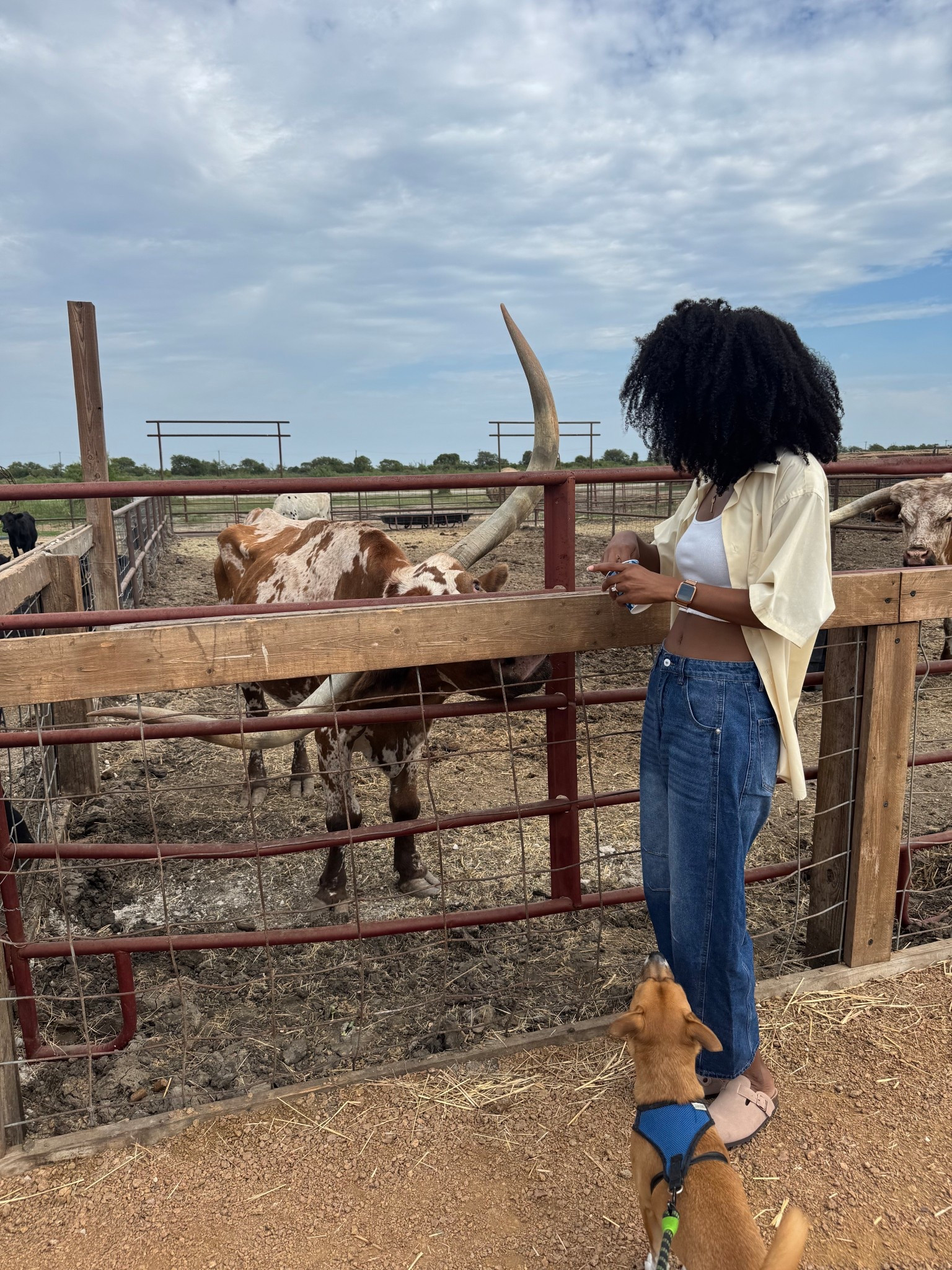 The perfect fall outfit! If you ever wanted to try #barrel Jeans these are the ones to grab 

#LTKTall #LTKSeasonal