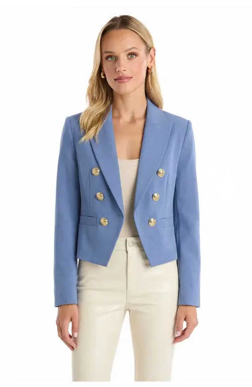 The Noli Shop Gabrielle Double Breasted Blazer in Blue at Nordstrom, Size X-Large | Nordstrom