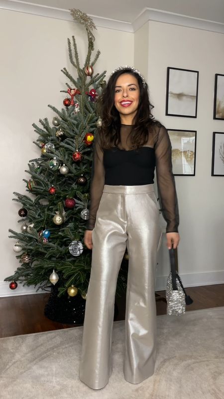Metallic wide leg trouser from Express for petites (avail in reg too) sheer top from H&M and Amazon rhinestone bag! 

#LTKGiftGuide #LTKSeasonal #LTKHoliday