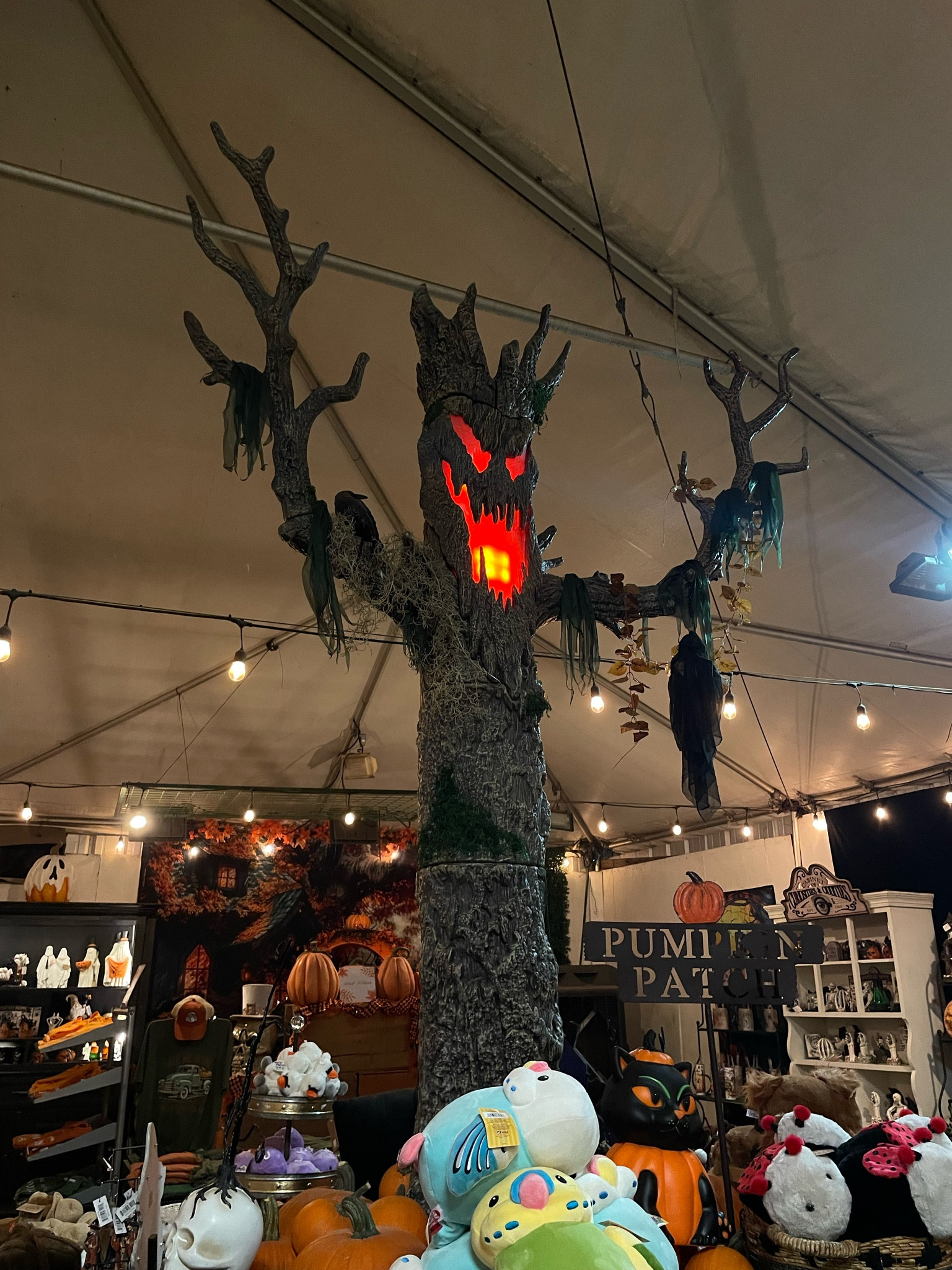 Halloween decorations from Amazon ✨

#LTKHalloween #LTKSeasonal #LTKHoliday