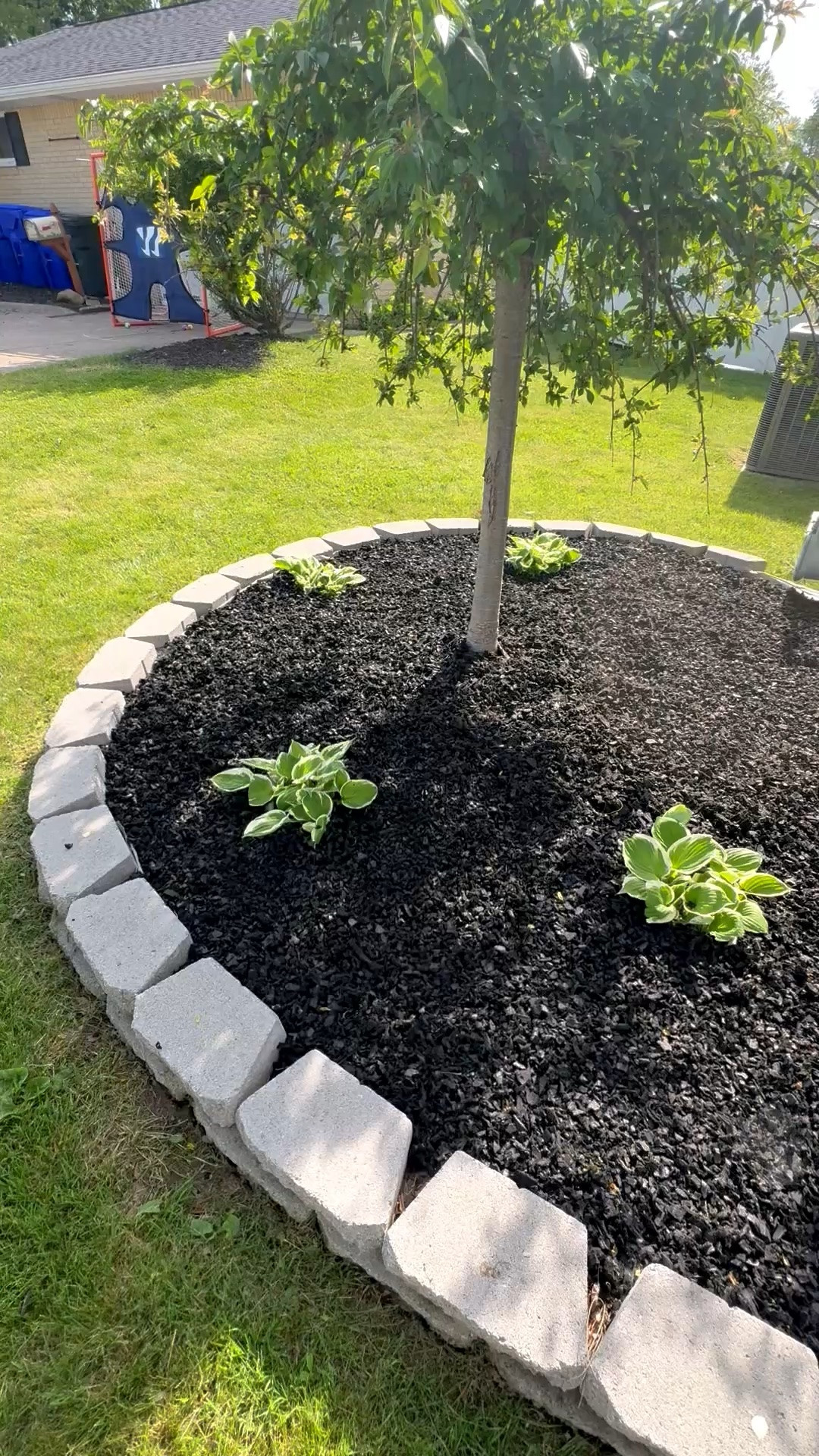 🏡 One of the best upgrades we’ve made to our landscaping? Making the switch from traditional wood mulch to rubber mulch!

My husband and I finally pulled the trigger this year, and so far we have zero regrets. Not only does it give the flower beds a clean, polished look, but it’s designed to last 10–20 years without the constant replenishing that wood mulch requires.

We’re taking it a step further and securing it with mulch glue to help keep everything in place through Buffalo’s wind, rain, snow, and everything in between. 🙌

As much as I love gardening, I’m all about finding ways to create a beautiful outdoor space with less maintenance. More time enjoying the yard, less time re-mulching every season.

If you’re considering a landscaping refresh, this might be one of the best long-term investments we’ve made for curb appeal and convenience. 🌿✨

#LandscapingIdeas #HomeProjects #CurbAppeal #OutdoorLiving #GardenInspiration #LowMaintenanceLandscaping #RubberMulch #HomeAndGarden #TheKerryLynneCollective