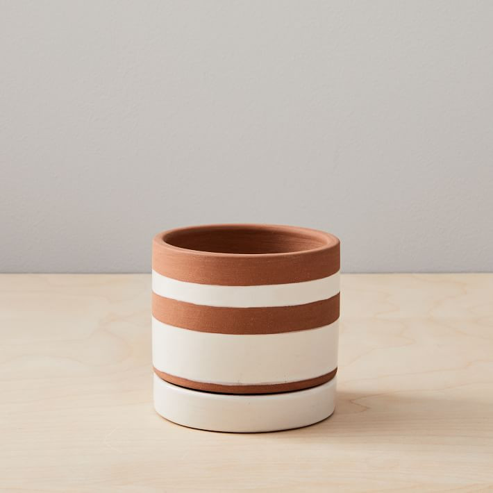 Rio Terracotta Indoor/Outdoor Cache Pots | West Elm (US)