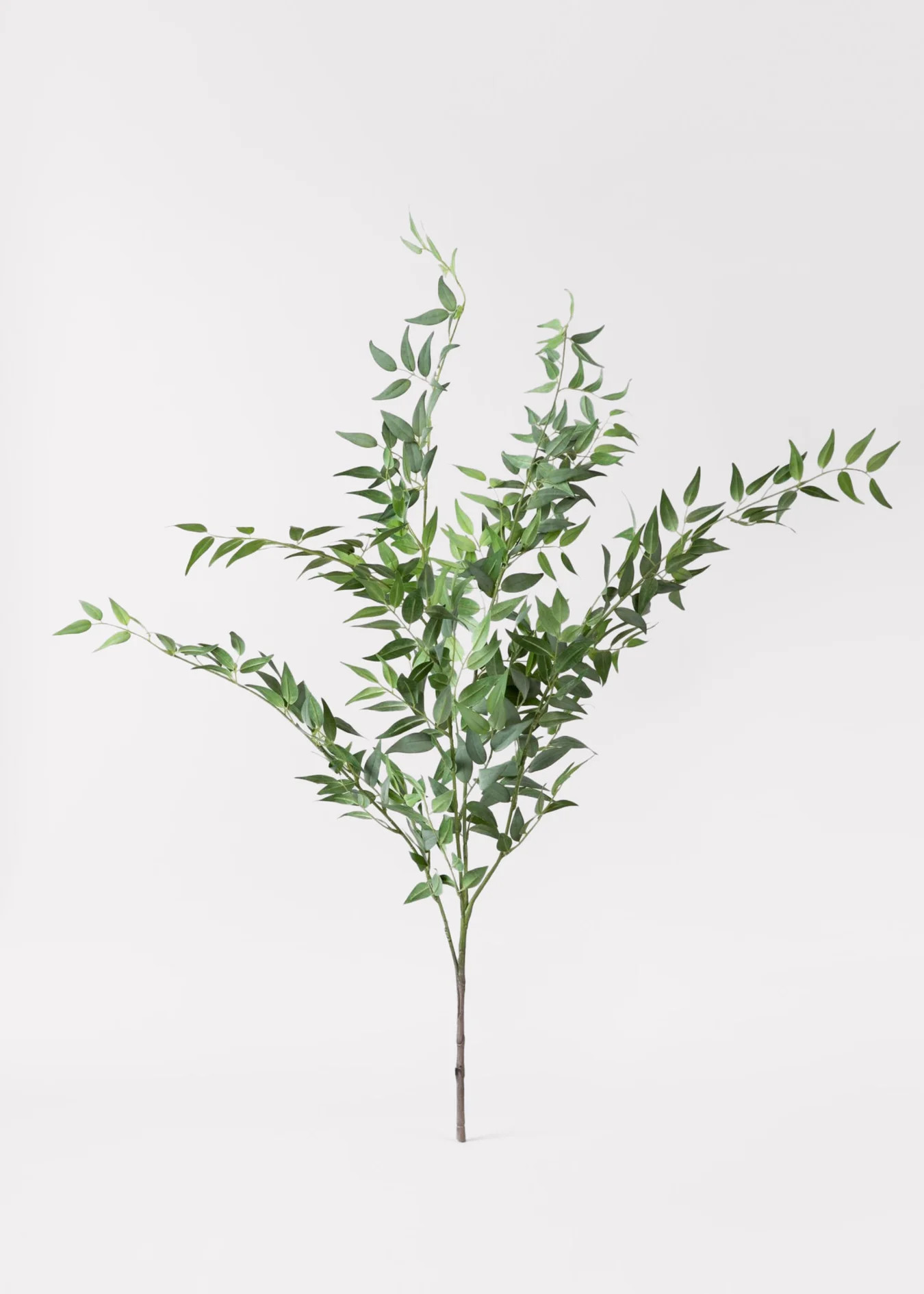Large Italian Ruscus Spray | Best Artificial Leaves at Afloral.com | Afloral