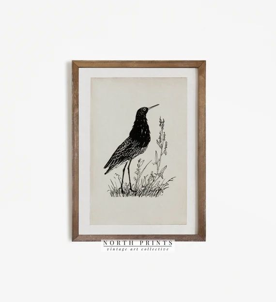 Vintage Bird Print  Antique Bird Illustration  Minimalist | Etsy | Etsy (US)