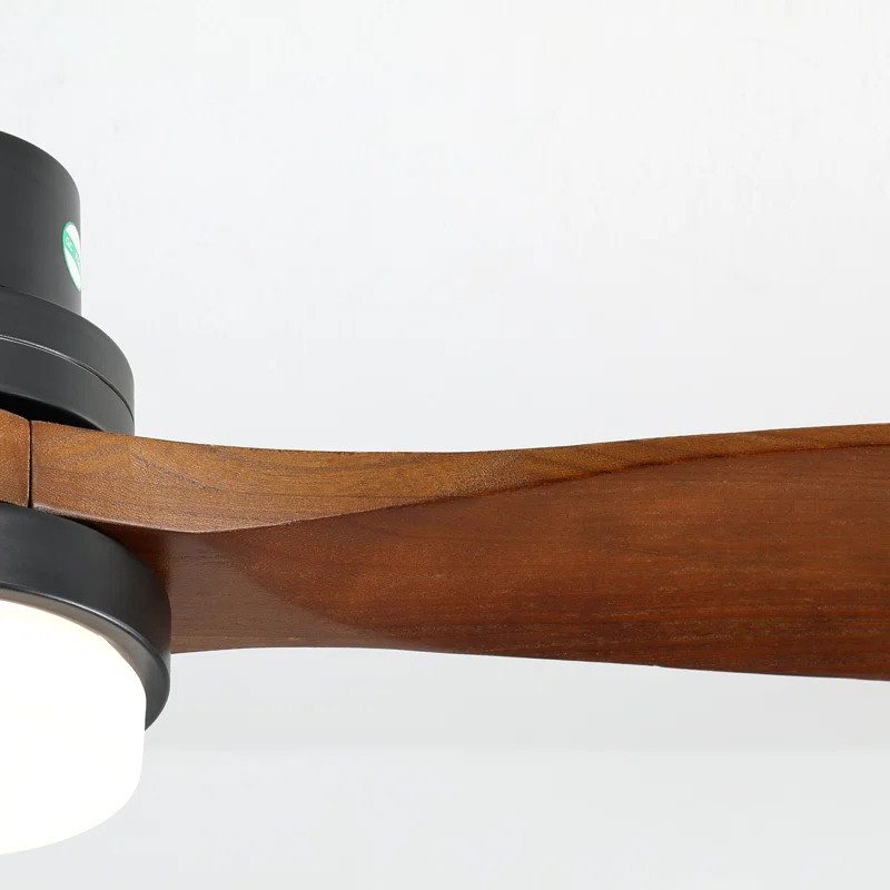 Nicola 52'' Ceiling Fan with LED Lights | Wayfair North America