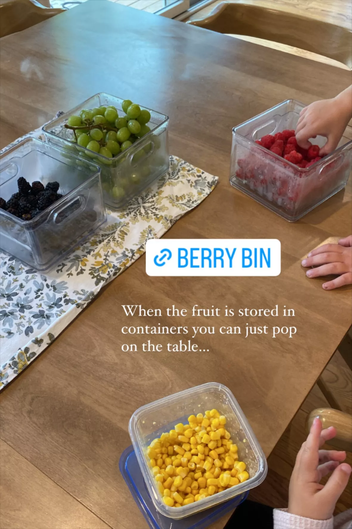 The Home Edit Berry Bins