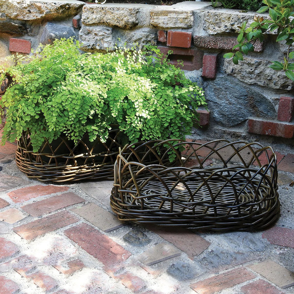 2 Piece Oval Rattan Basket Set | Wayfair North America