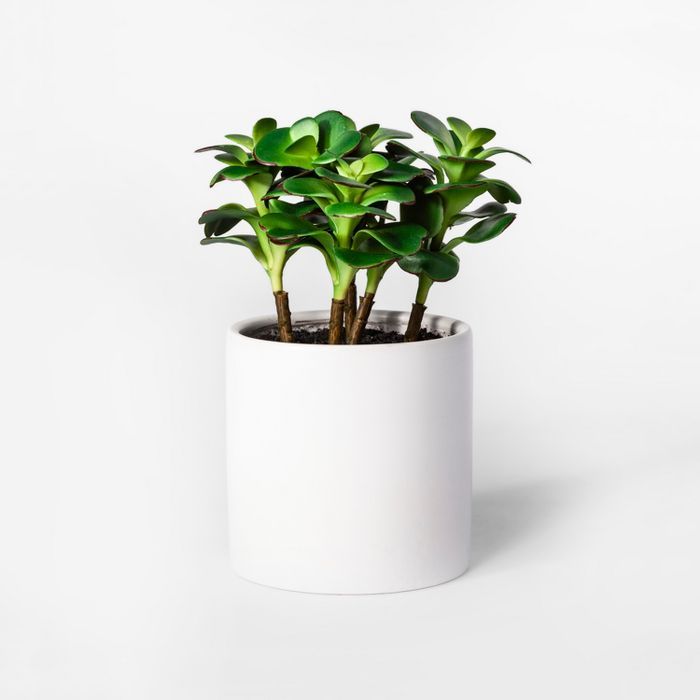 10" x 7" Artificial Jade Plant Succulent In Pot Green/White - Project 62™ | Target