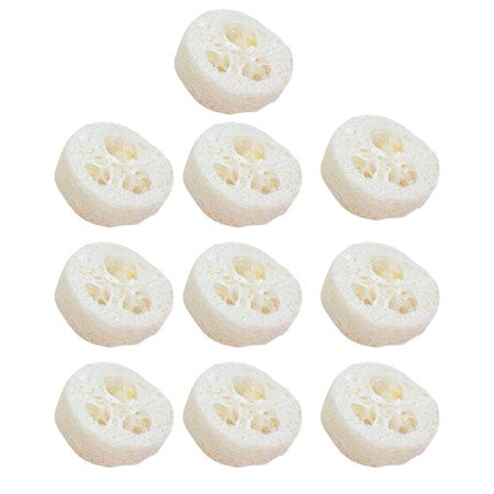 Firxreer Natural Loofah Luffa Loofa Slices | 10PCS Quality Sliced DIY Product Craft for Making Loofa | Walmart (US)
