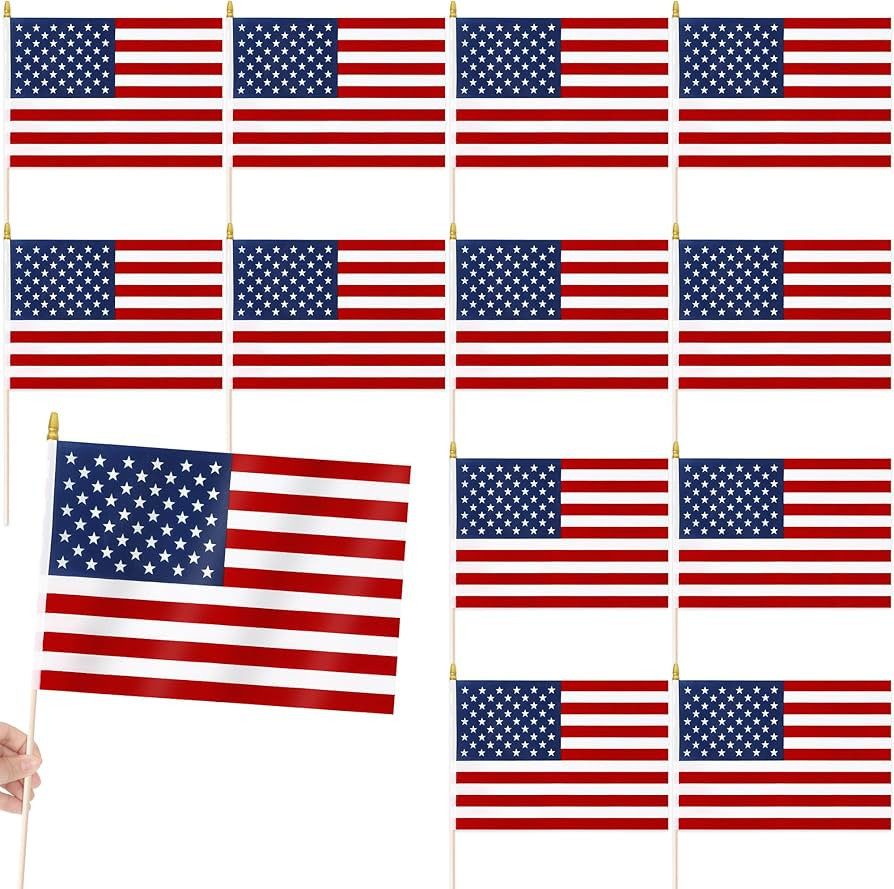 8 x 12 Inches Small American Flags on Stick, 12PCS 4th of July Flag, USA 250th Anniversary Patrio... | Amazon (US)