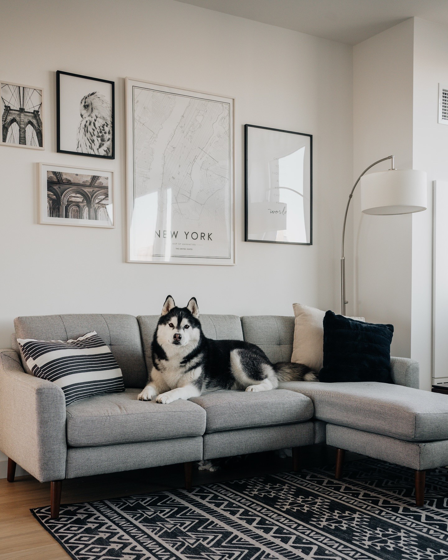 Home 🖤🤍 Who is under the sofa? 🐈

#LTKHome