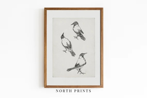 Bird Sketch  Vintage Bird Etching  Minimalist Drawing Art | Etsy | Etsy (US)