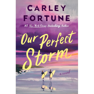 Our Perfect Storm - by Carley Fortune (Hardcover) | Target