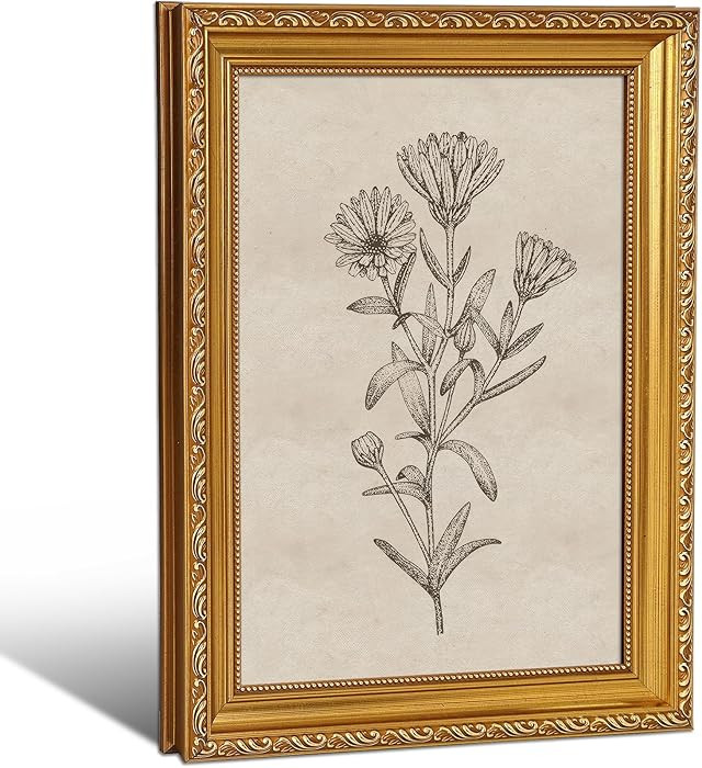 MHUNFDHNOLZ Gold Vintage Framed Botanical Wall Art - Floral Canvas Print, Rustic Farmhouse Decor ... | Amazon (US)