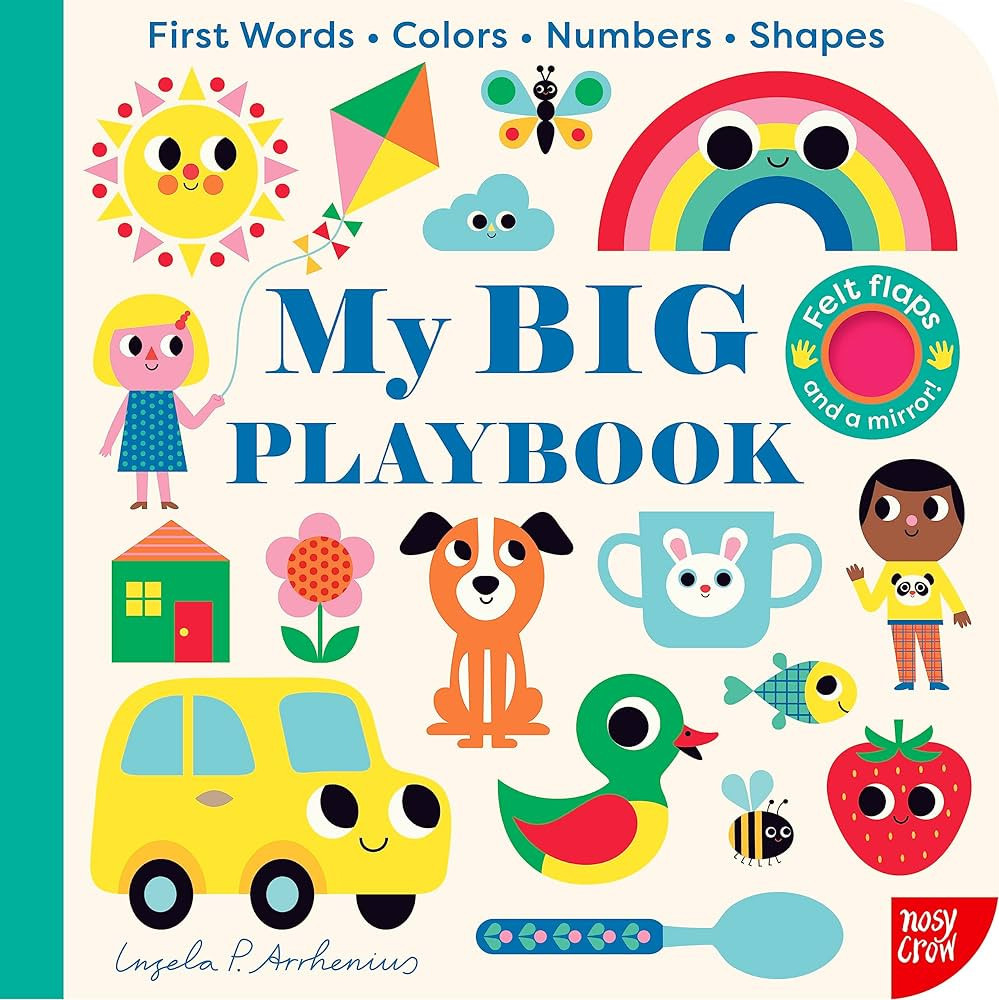 My BIG Playbook (My BIG Playbook, 1) | Amazon (US)