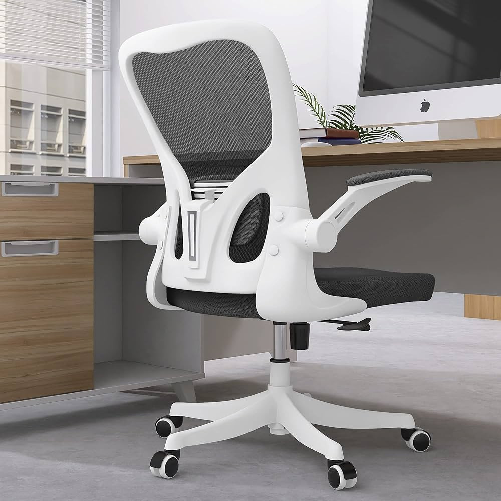 Monhey Office Chair - Ergonomic Office Chair with Lumbar Support & Flip Up Arms Home Office Desk ... | Amazon (US)