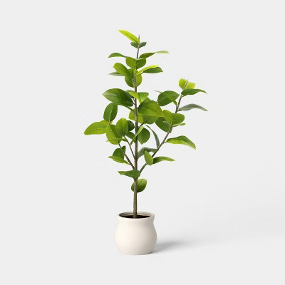 43" Ficus Tree - Threshold™ | Target