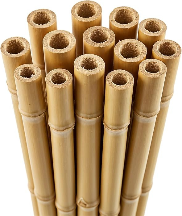 Blado Thick Bamboo Canes - Heavy Duty, Natural Garden Stakes, Strong Bamboo Sticks for Plant Supp... | Amazon (UK)